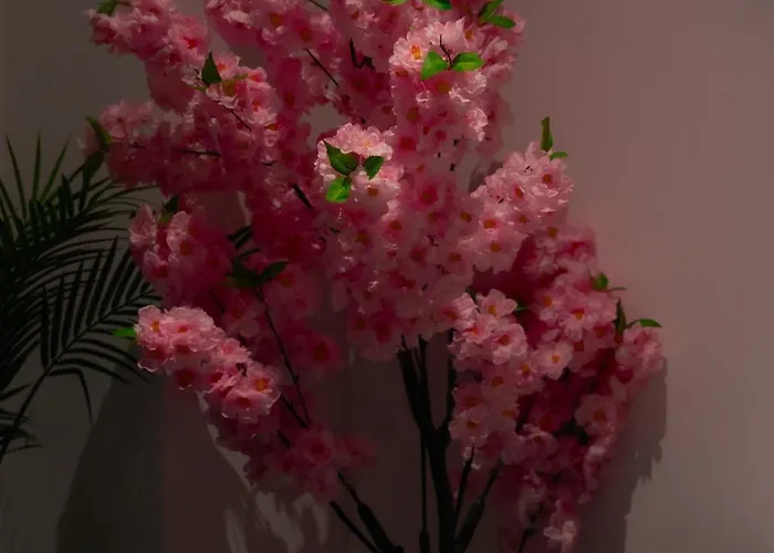 Julius Cesar Mit Private Sauna & Whirlpool Berlim