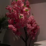 Julius Cesar Mit Private Sauna & Whirlpool Berlin