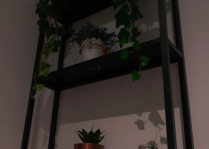 Julius Cesar Mit Private Sauna & Whirlpool Berlin