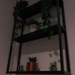 Julius Cesar Mit Private Sauna & Whirlpool Berlin